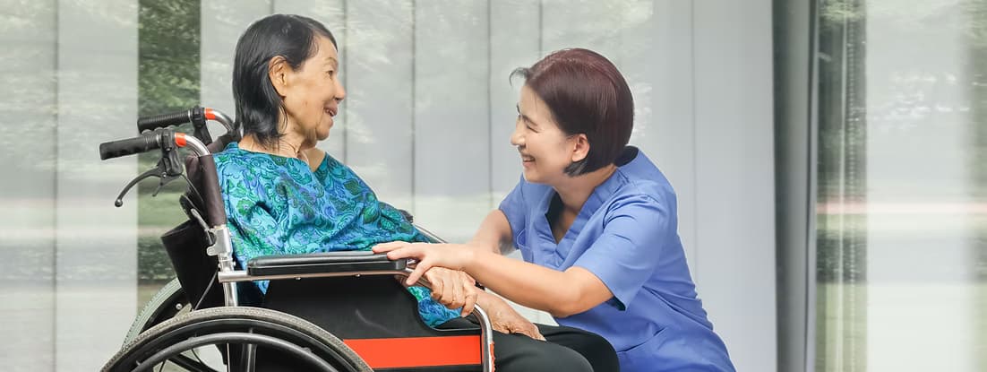 Hỗ Trợ Thủ Tục Chính Phủ